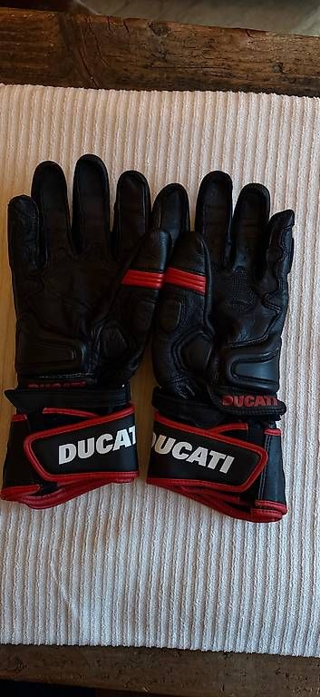 Altri accessori da uomo: Motorradhandschuhe Ducati alpinestars Grösse L – Usato da Olten venduto da crischan 1