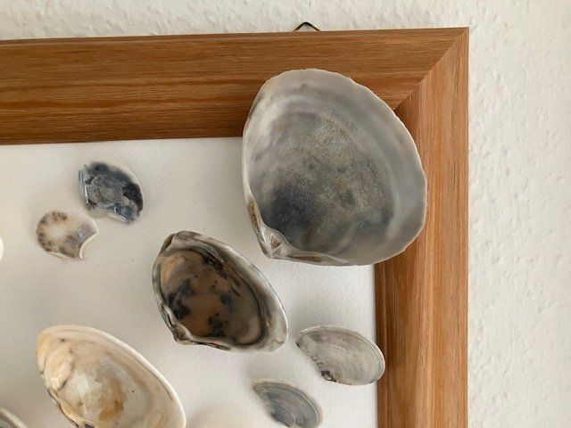 Alle Dekorationen: Wunderbares Stimmungsbild mit Muscheln – Gebraucht aus Zürich von JanetT01 1