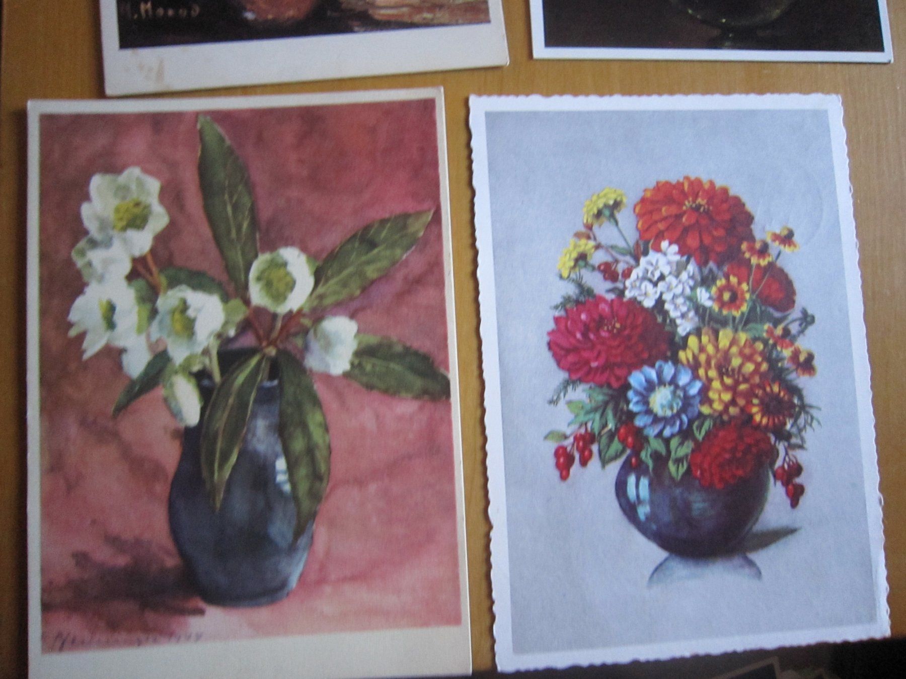 Cartes postales: No2 Postkarten Blumen – D'occasion à Gordola par Polentaefung 3