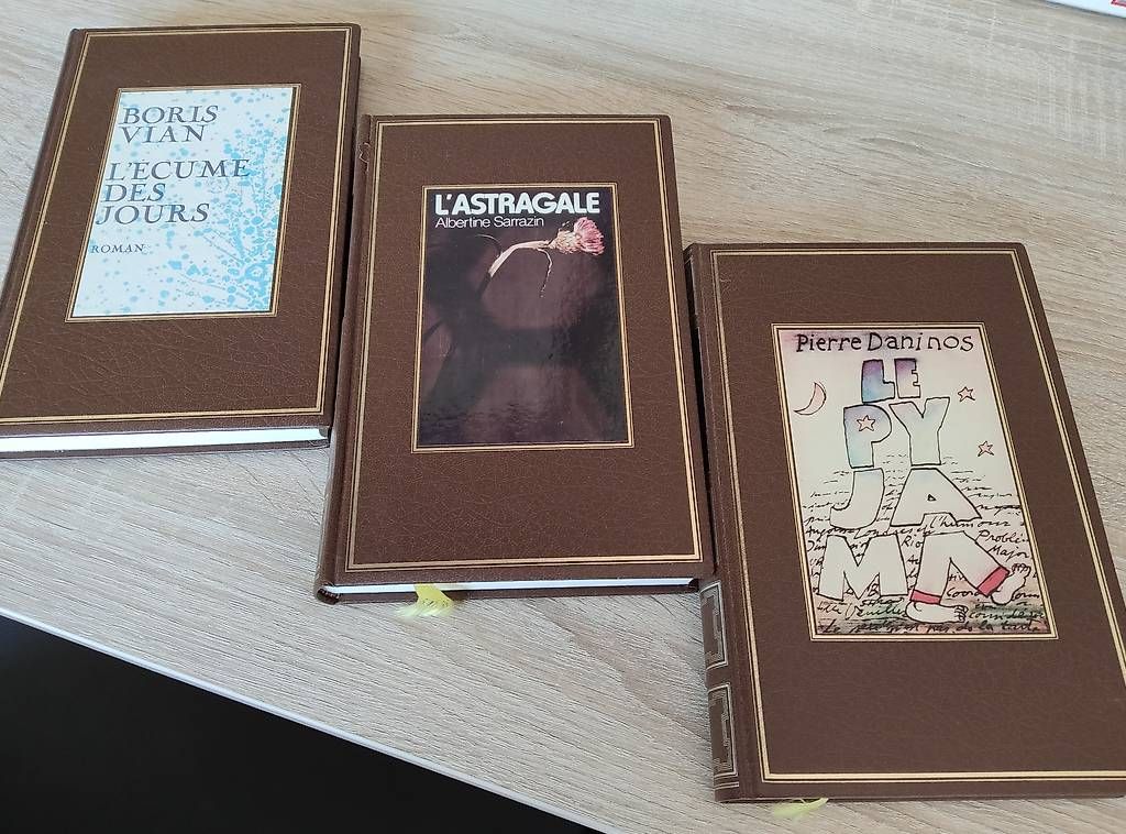 Libri: Livres – Usato da Cormondrèche venduto da Scooter51 1