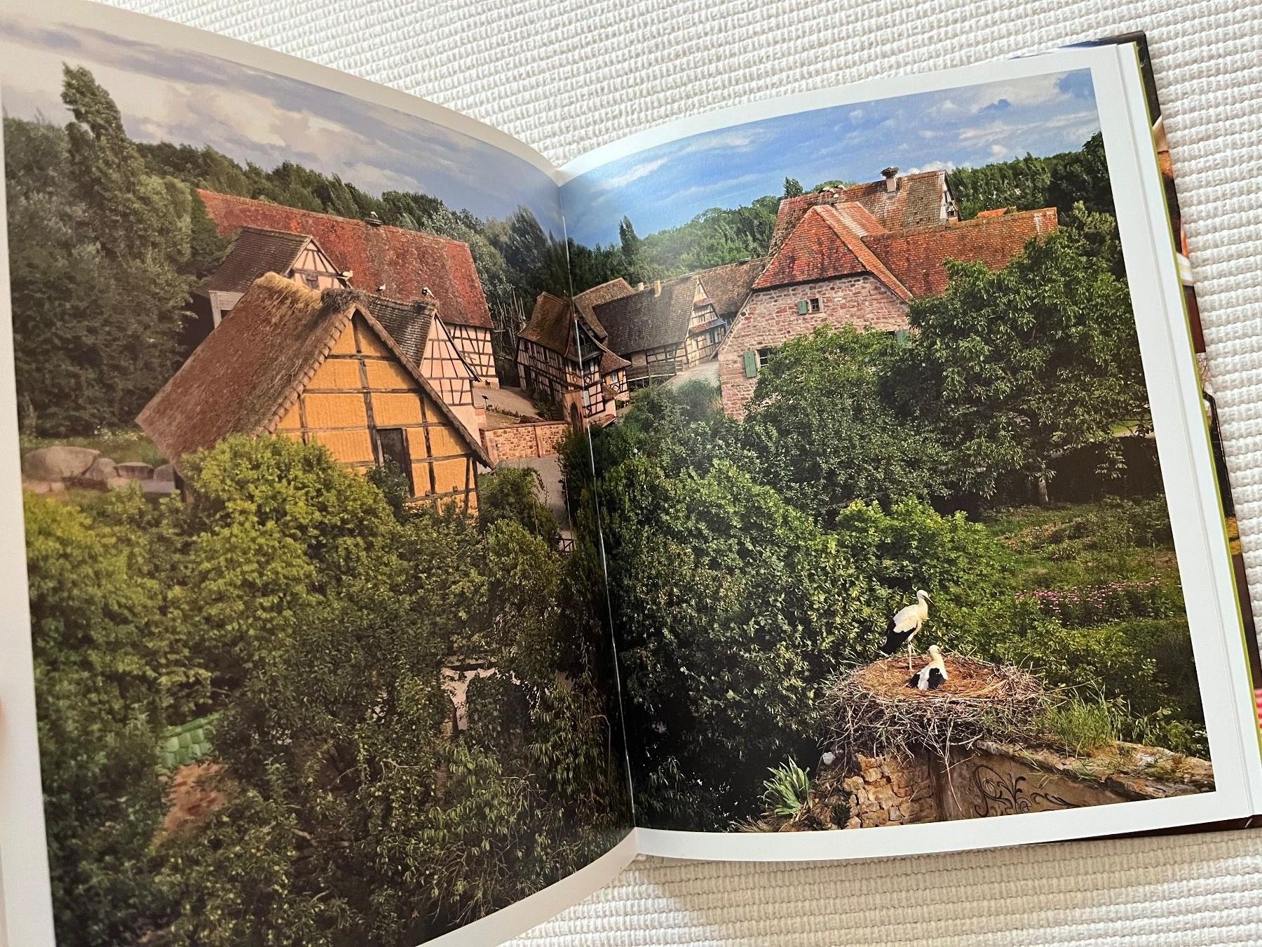 Bücher: Kochbuch: La Cuisine Alsacienne, Marc Haeberlin – Neu (gemäss Beschreibung) aus Zürich von Gurkis 6