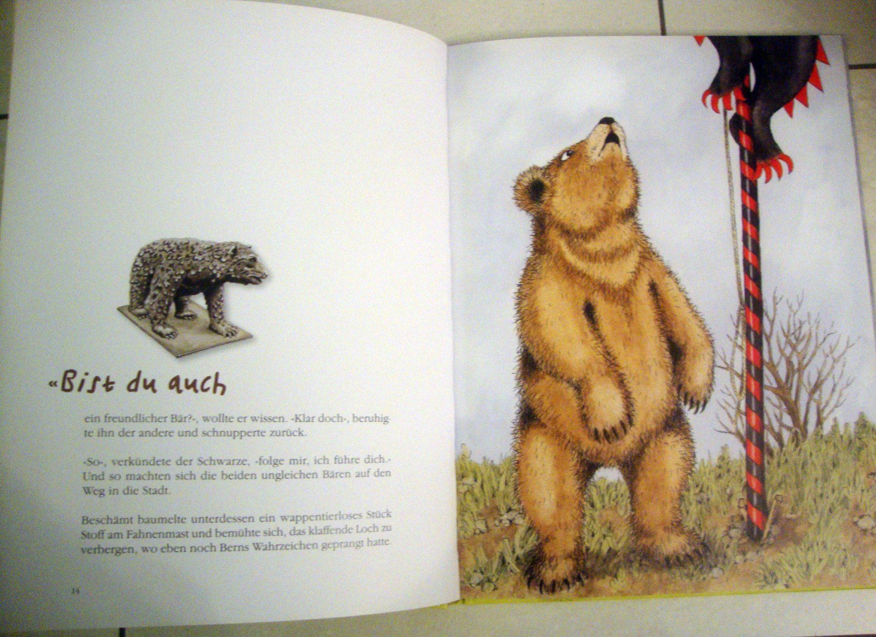 Libri: FINN und der Berner Bär – Usato da Wetzikon ZH venduto da strubeli024 2