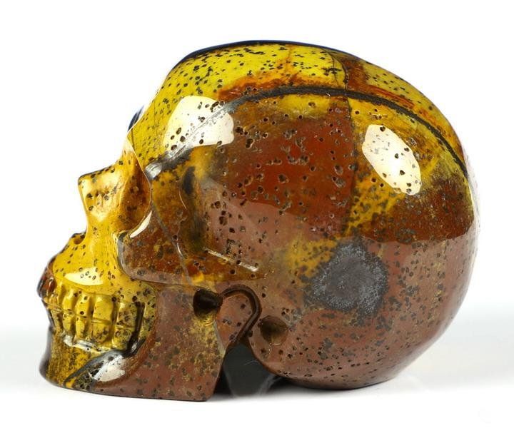Minerali & Pietre curative: Tigereisen Skull – Usato da Walenstadt venduto da vkt_qc8d 4
