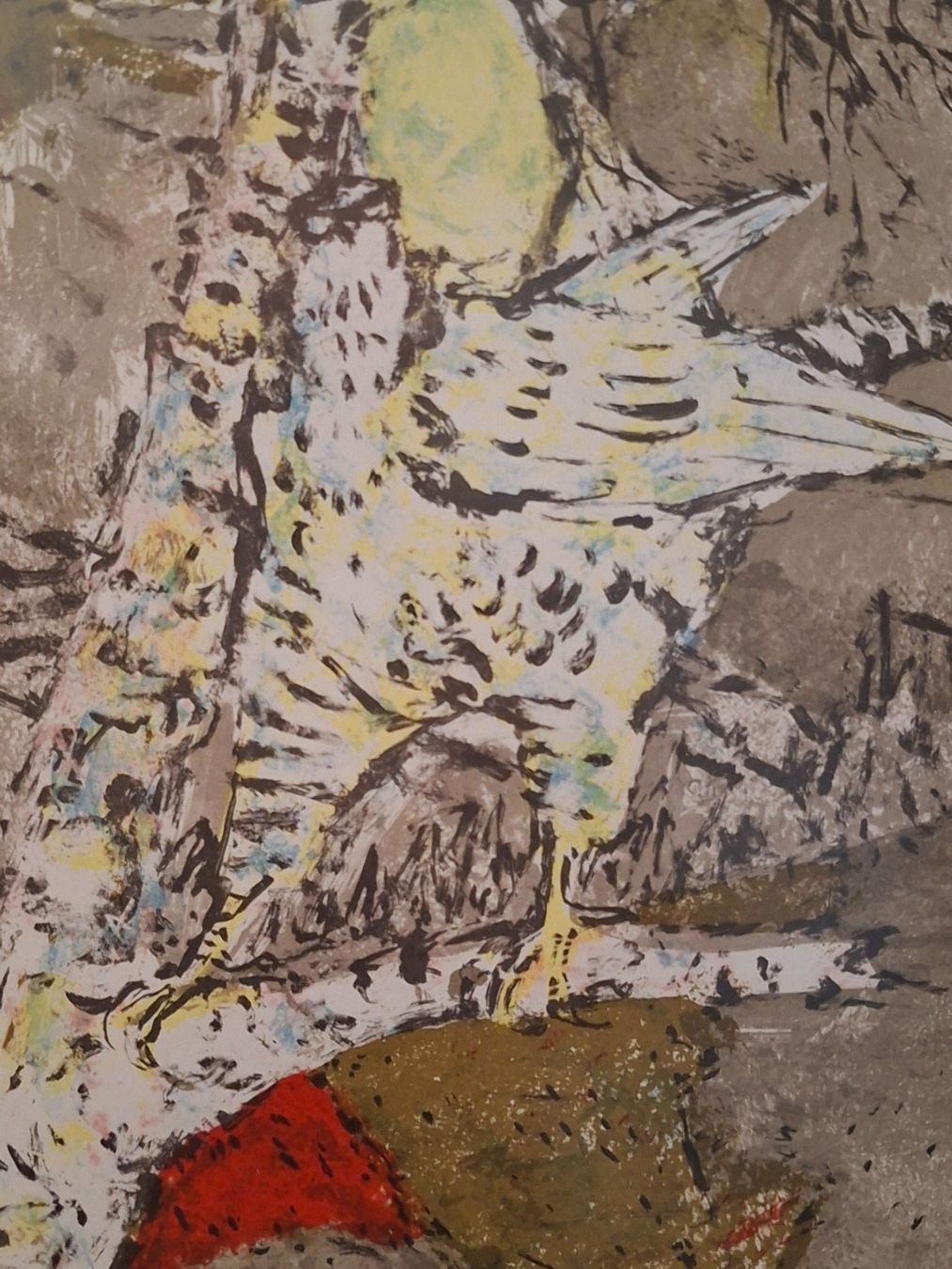 Grafica & Litografie: Carigiet. Sperber in der Birke. – Usato da Goldach venduto da armando_r 2