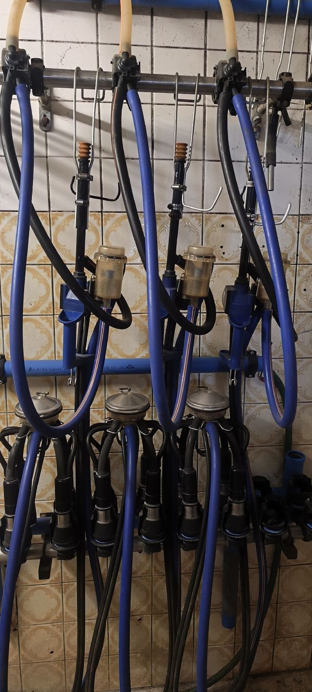 Delaval Altro per industria metallurgica: De Laval Melkaggregate – Usato da Weissenstein venduto da Skidoo01