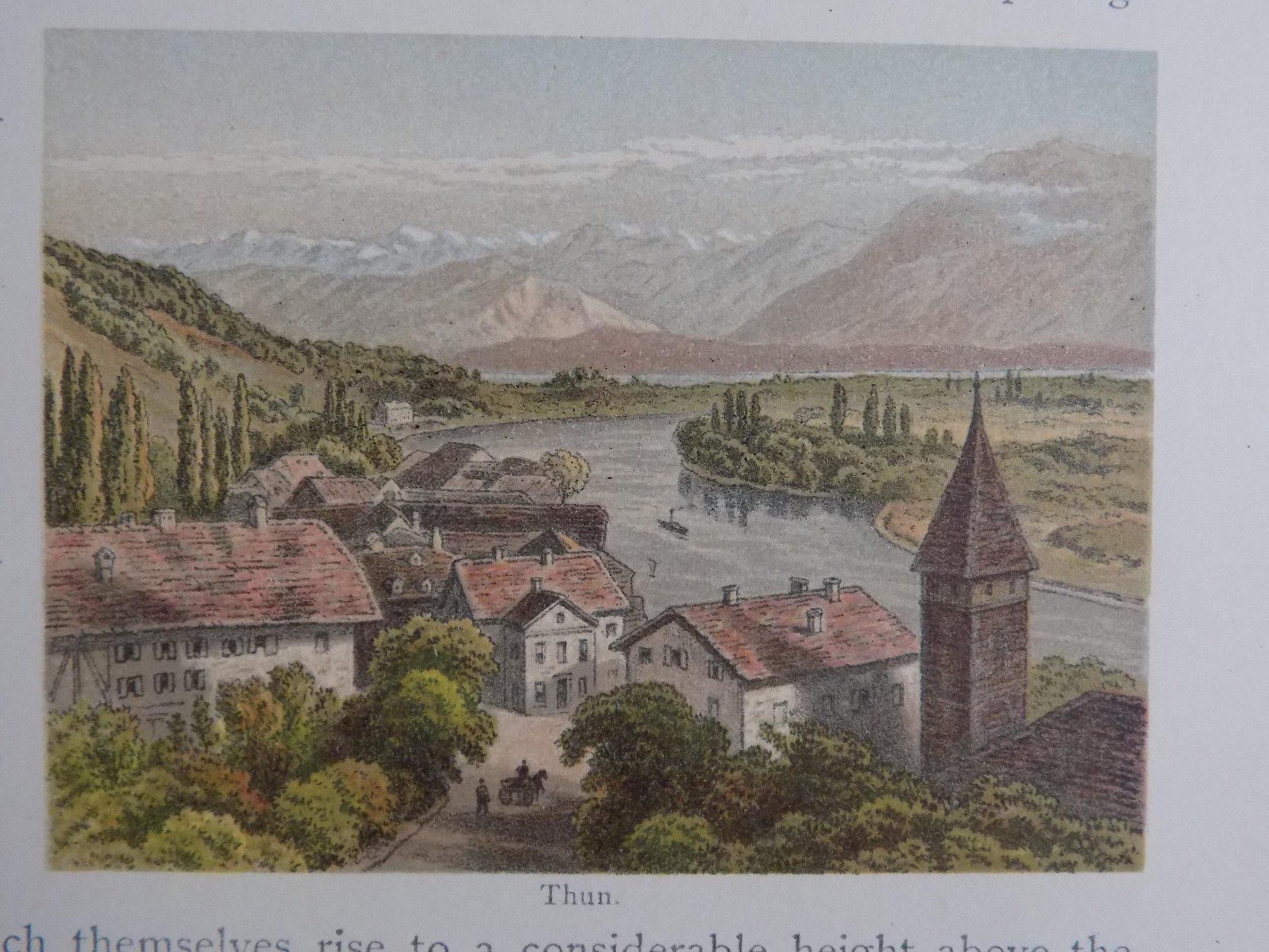 Incisioni: Thun kolorierte Xylographie – Usato da Risch venduto da Antikfee 5
