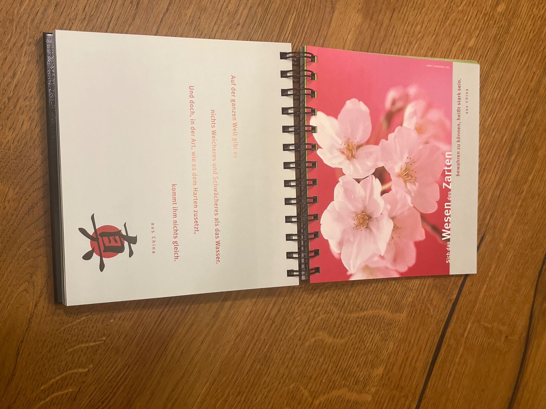 Libri: Buch Zen Harmonie des Lebens – Usato da Aarau venduto da Swifty03 1