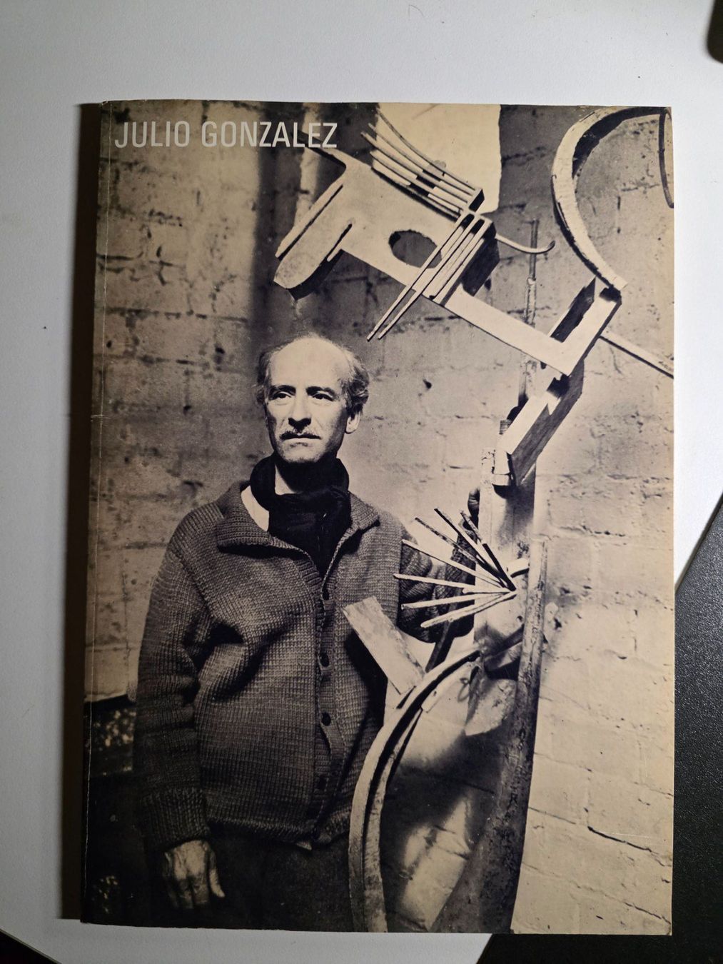 Bücher: Julio Gonzalez - Les matériaux de son expression 1969 – Gebraucht aus Walterswil BE von Lonitti