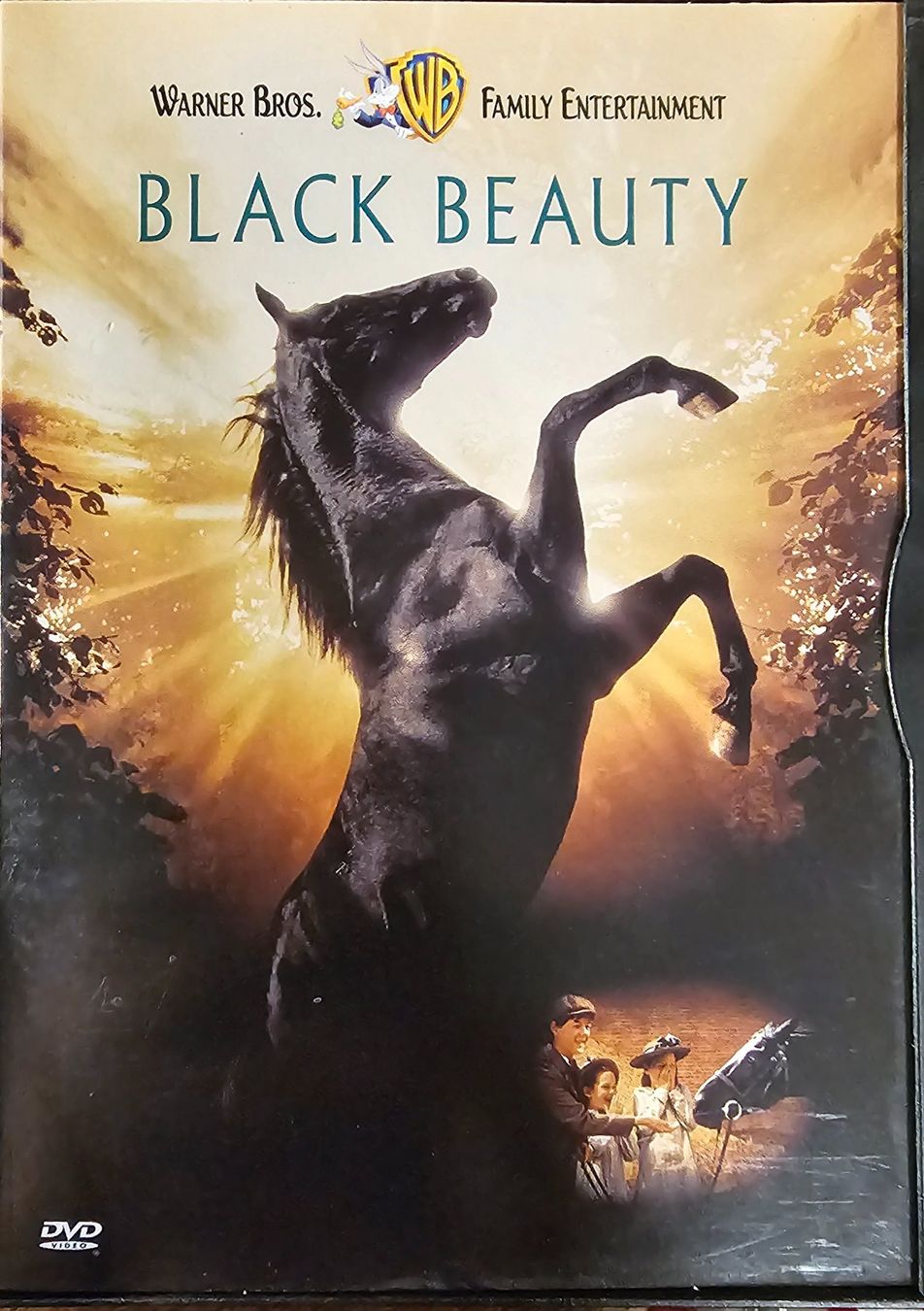 Tous les DVDs: Black Beauty – D'occasion à Wahlen b. Laufen par Cg10