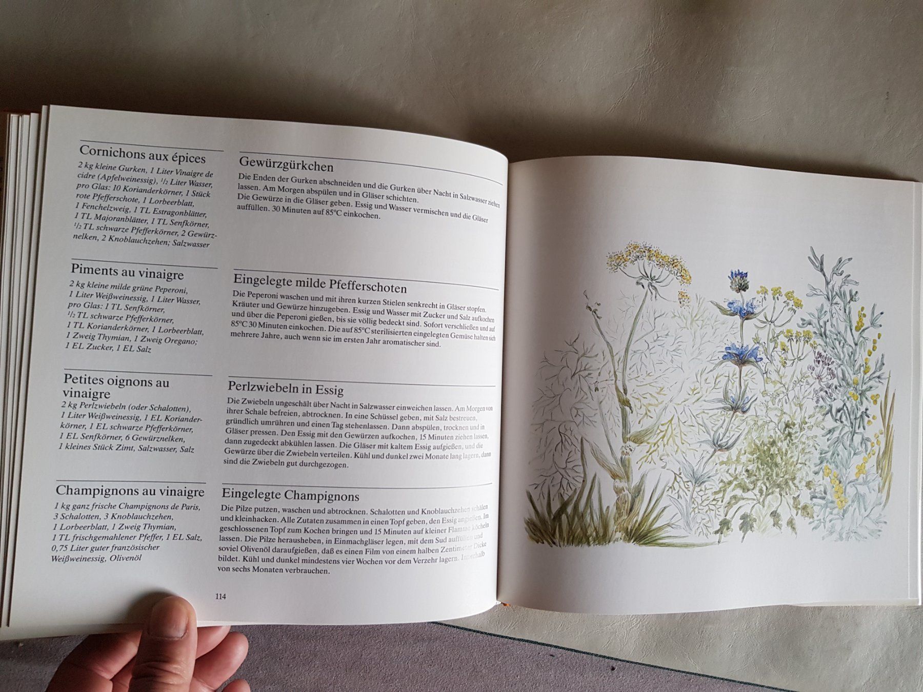 Libri: Die Kunst des Aperitif - André Dominé - 1989 – Usato da Walterswil BE venduto da Lonitti 1