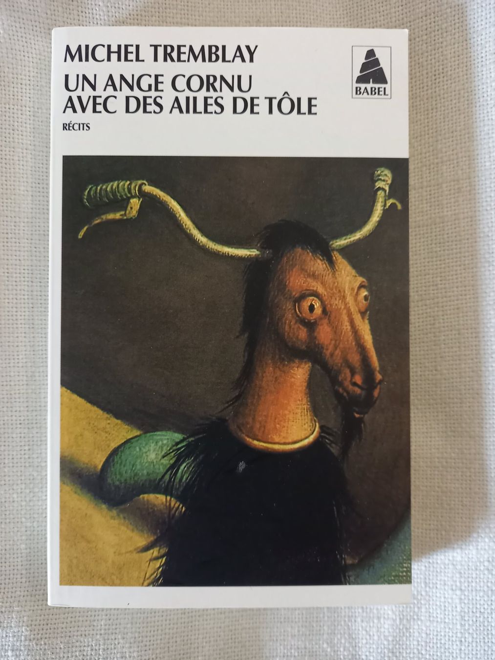 Libri: Un ange cornu avec des ailes de tôle – Usato da Neuchâtel venduto da Dualseele