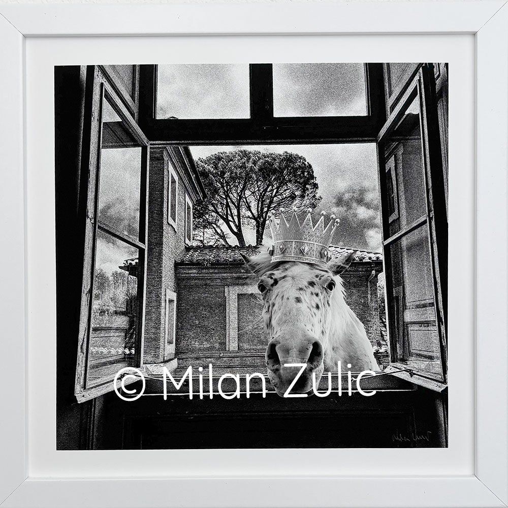 Foto & Immagini: Travel postcards 007 – Nuovo (secondo la descrizione) da Uetikon am See venduto da mil_7k2b