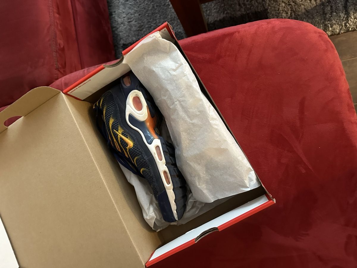 Nike Scarpe da uomo: Nike Air Max Plus – Usato da Schwarzenburg venduto da micmag 2
