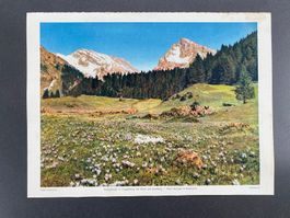 Fotobild KUHBODENALP IM TOGGENBURG, MIT SÄNTIS UND SCHAFBERG