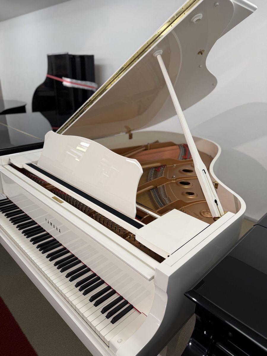 Yamaha Strumenti musicali: Yamaha C3 PWH – Nuovo e nell'imballaggio originale da Niederhasli venduto da Musikhaus-Ammann 1