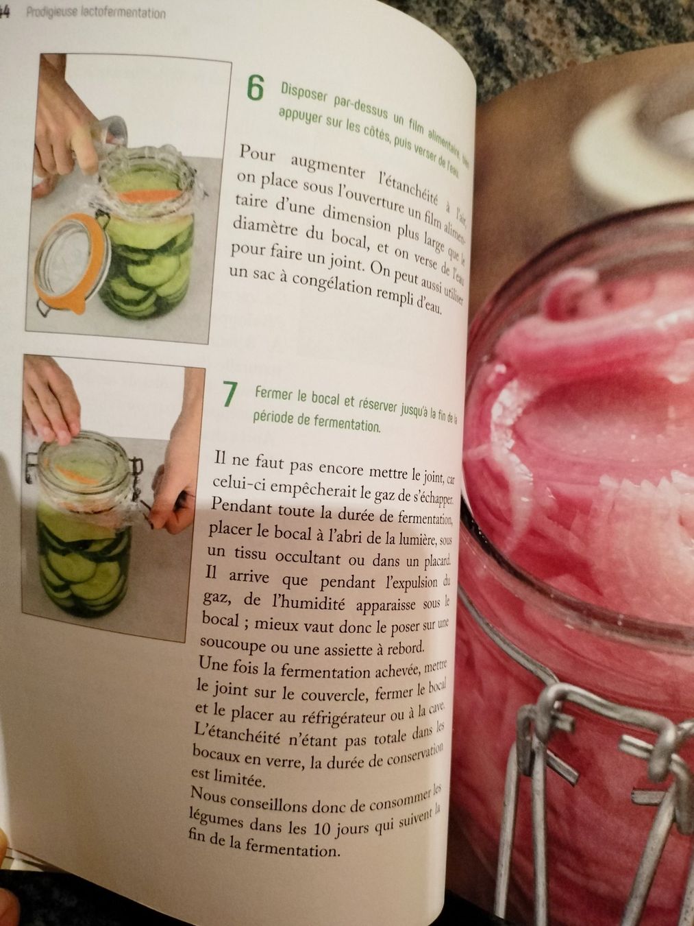 Livres: Prodigieuse lactofermentation avec des recettes – Neuf (Voir description) à Cortaillod par rozinna 7