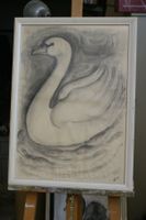 Radierung?Bleistift? Weisser  Schwan WB 95 mit Glasrahmen
