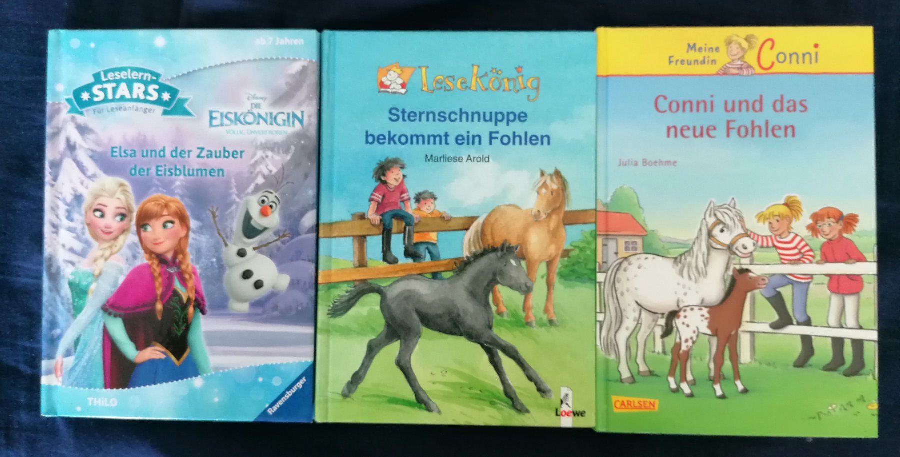 Libri: Bücher Loewe, Ravensburger Verlag – Usato da Schötz venduto da Gisre 1