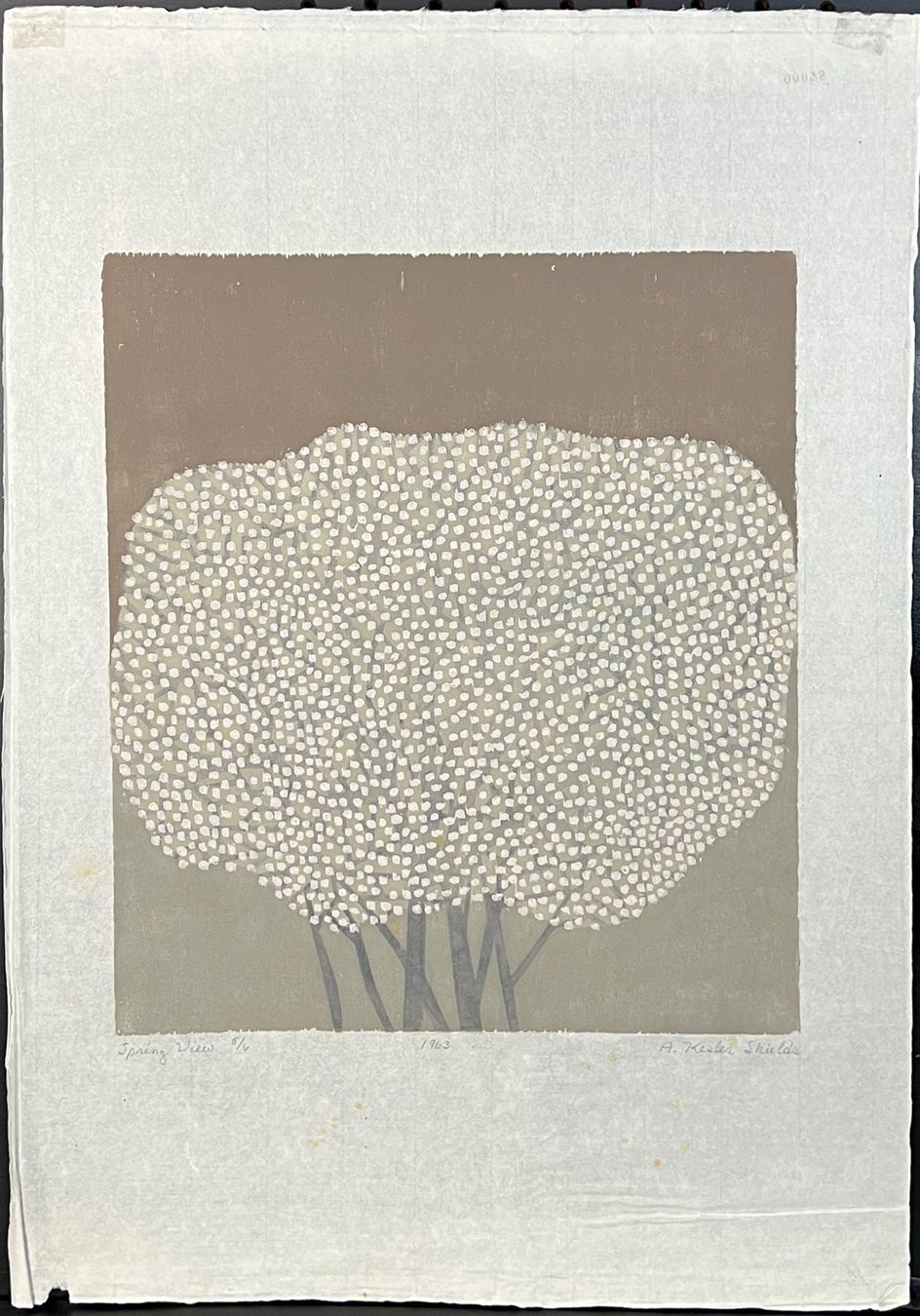 Grafica & Litografie: Anne Kesler Shields. Spring Views, 1963, Litho, – Usato da Zumikon venduto da tesoro8853