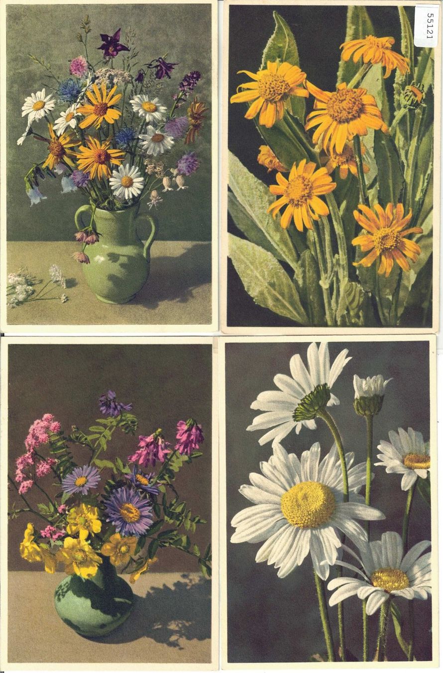 Cartoline postali: 4 AK - Blumen - Photo: E. Gyger – Usato da Ettingen venduto da Kartenplanet