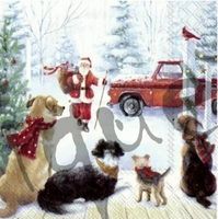 Serviette dogplace (1460) 3Stk.