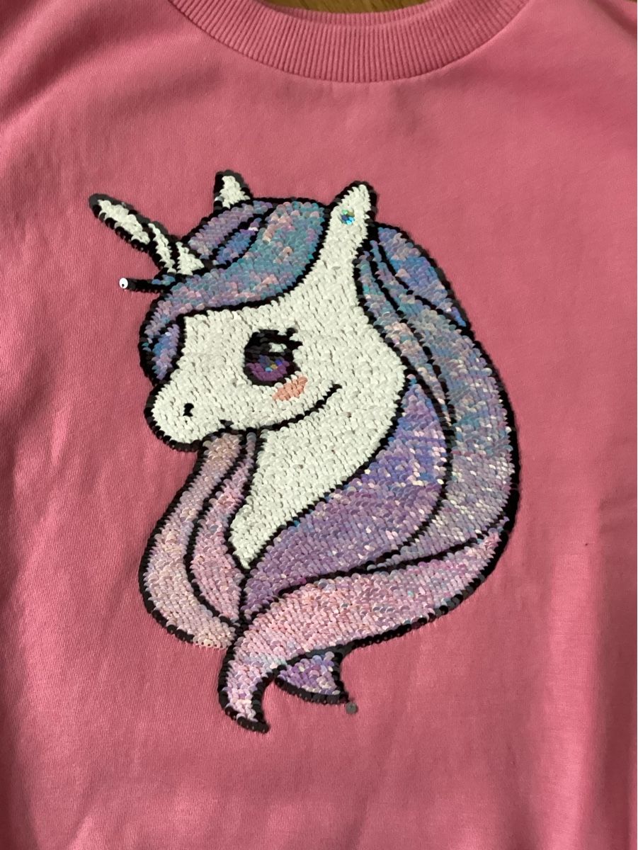 H&M Maglioni & Felpe: H&M Pulli mit Einhorn 🦄 , Grösse 122/128. – Usato da Arlesheim venduto da Swiss_family 3