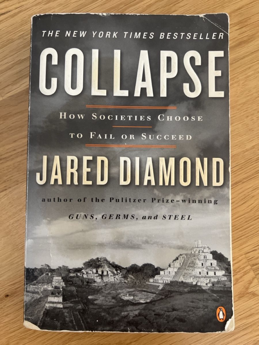 Libri: Jared Diamond - Collapse: Wie Gesellschaften scheitern – Usato da Basel venduto da clembou