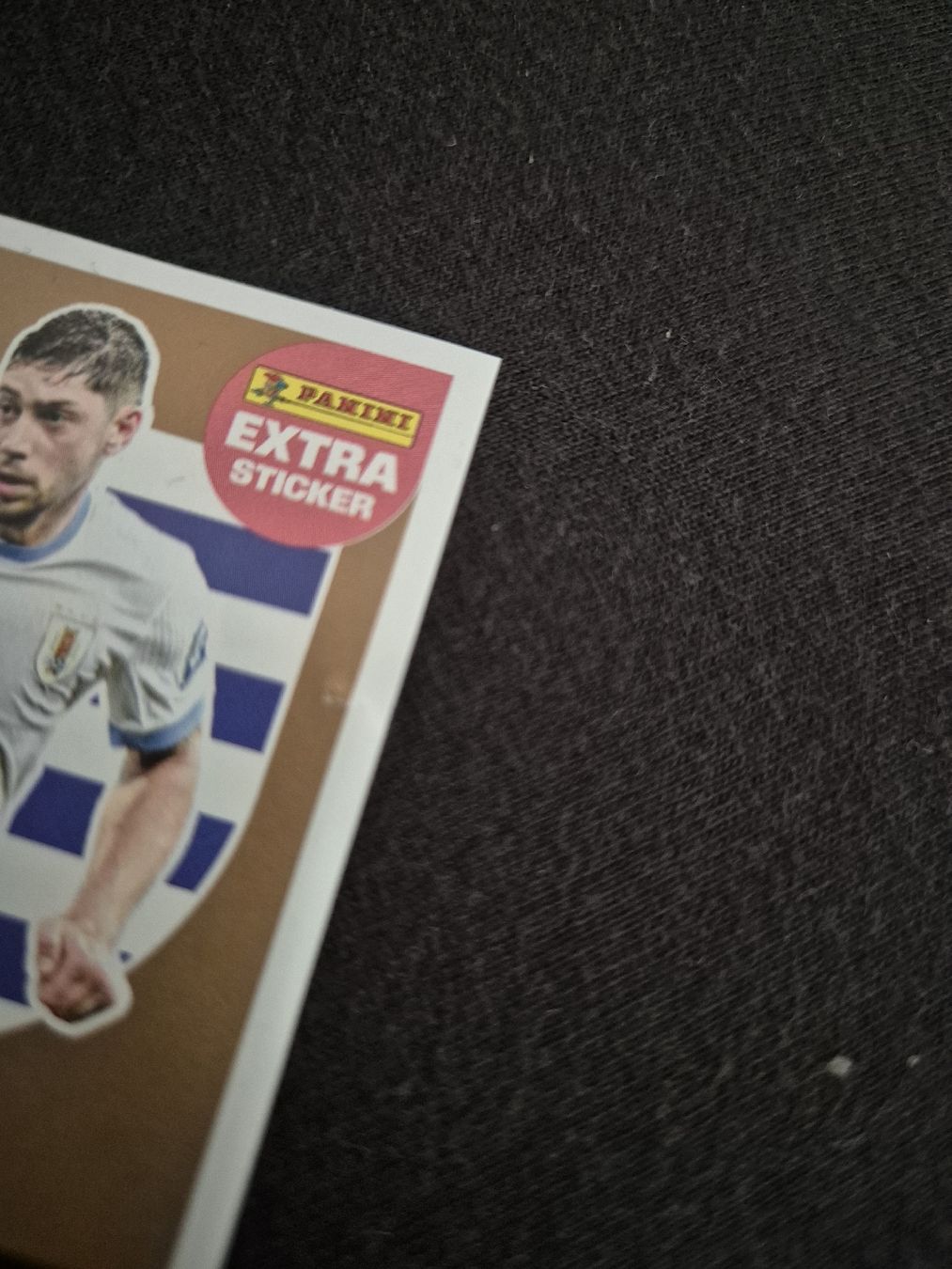 Panini Carte collezionabili: fifa world cup 2026 extra sticker federico valverde – Usato da Hergiswil NW venduto da kedova3 1
