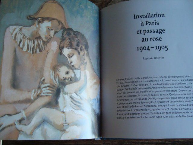 Libri: Le jeune Picasso – Nuovo (secondo la descrizione) da Fribourg venduto da ruswil007 2