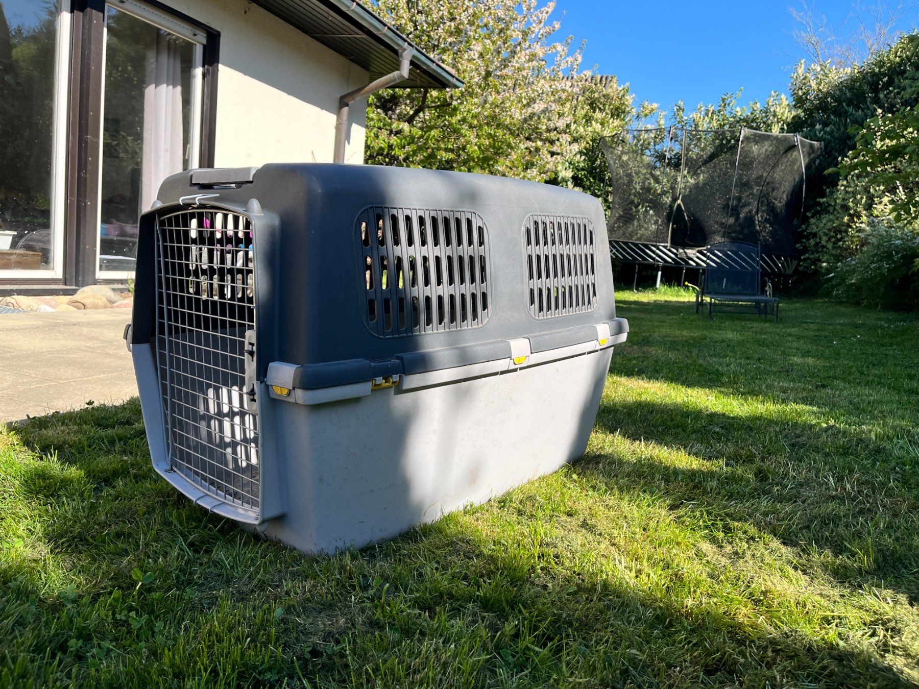 Gabbie, trasporto & Sicurezza: Grosse Hundebox 90x60x70cm – Usato da Gockhausen venduto da mon_hwb9