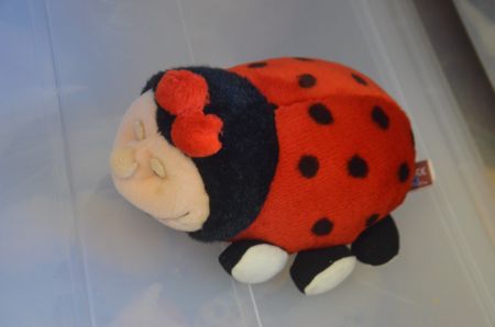 DEKO COCCINELLE