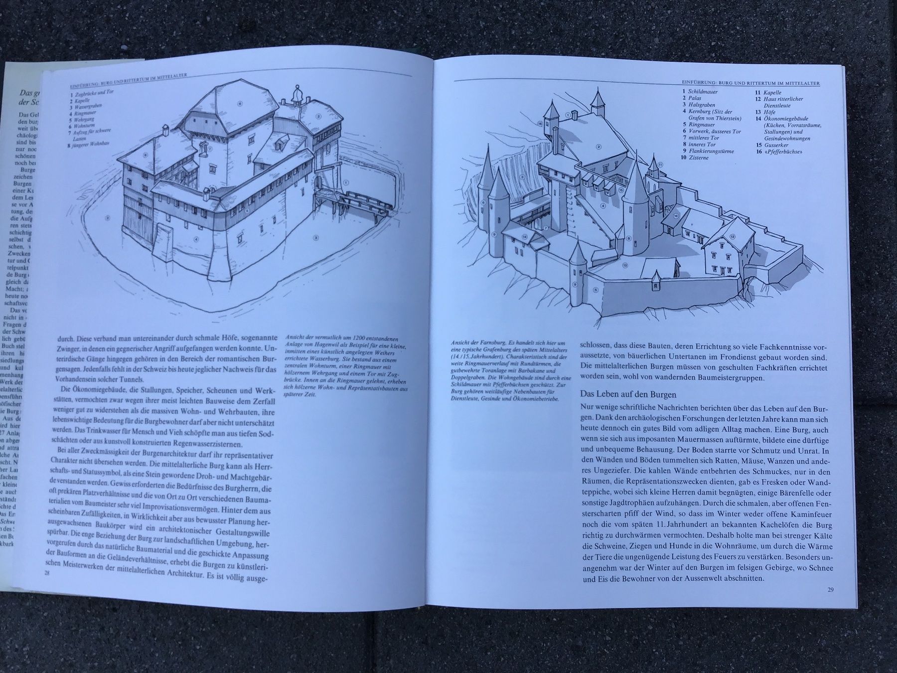 Bücher: Das grosse Burgenbuch der Schweiz 1977 Meyer/Widmer – Gebraucht aus Scherzingen von Starseller62 3