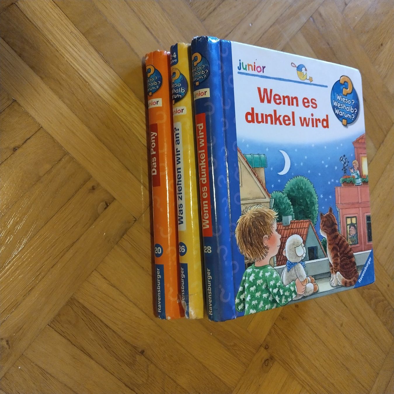Livres: 3 Kinderbuecher Ravensburger Junior – D'occasion à Oberdorf NW par niederj 2