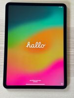 iPad Pro 11" 2018 1. Generation 256 GB Space Gray WiFi