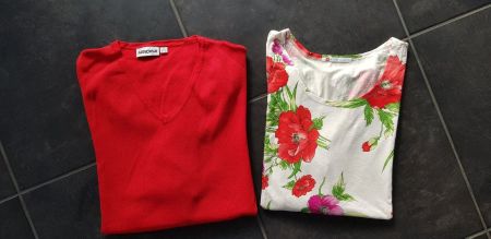 Pullover und schönes Shirt Gr. 52/54