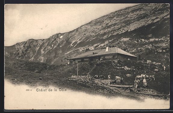 Cartoline postali: Saint-Cergue, Châlet de la Dole, Panora – Usato da Berlin venduto da bartko-reher