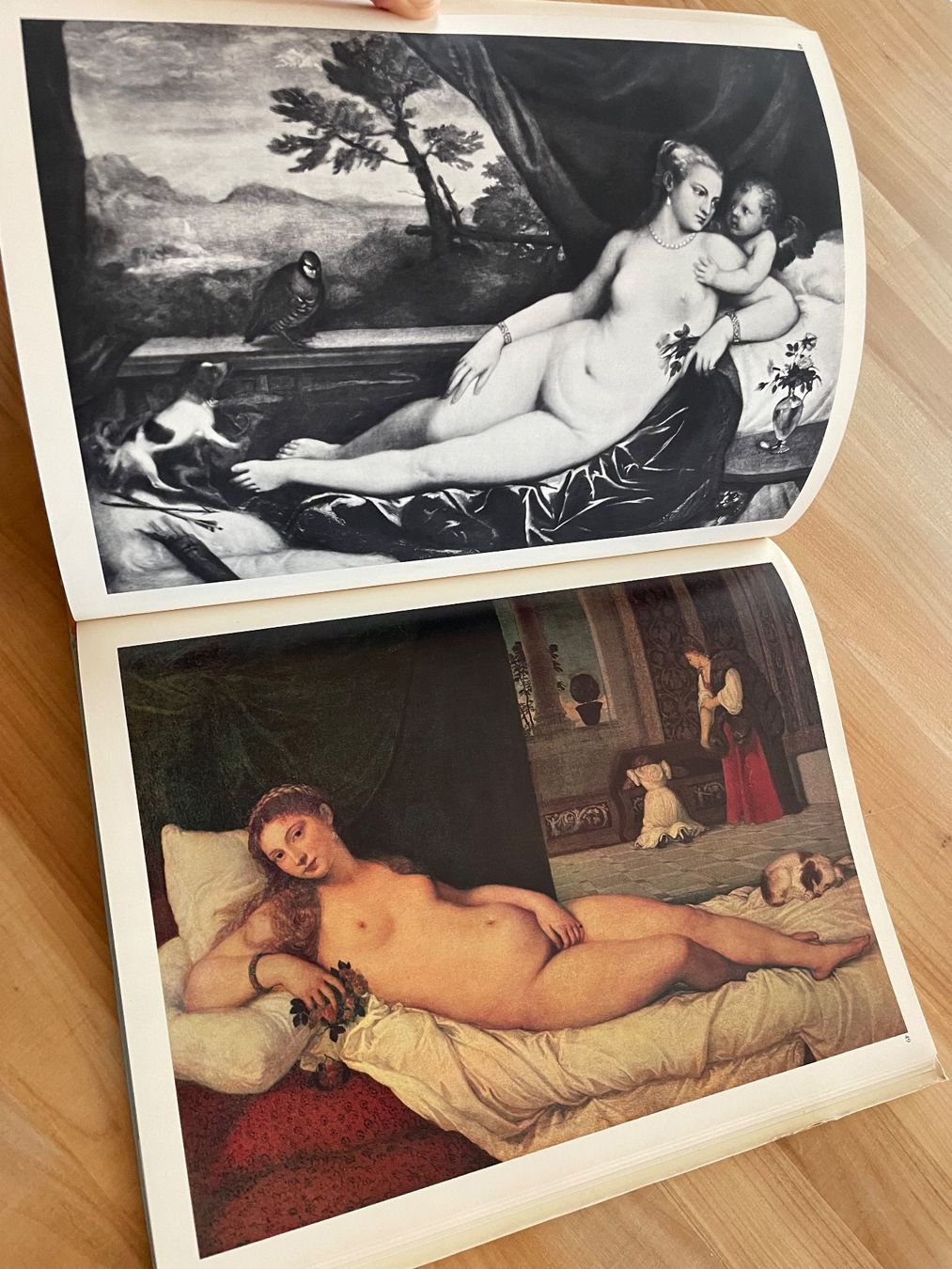 Libri: BUCH VENEDIG KUNST – Usato da Rümlang venduto da euqinom16 3