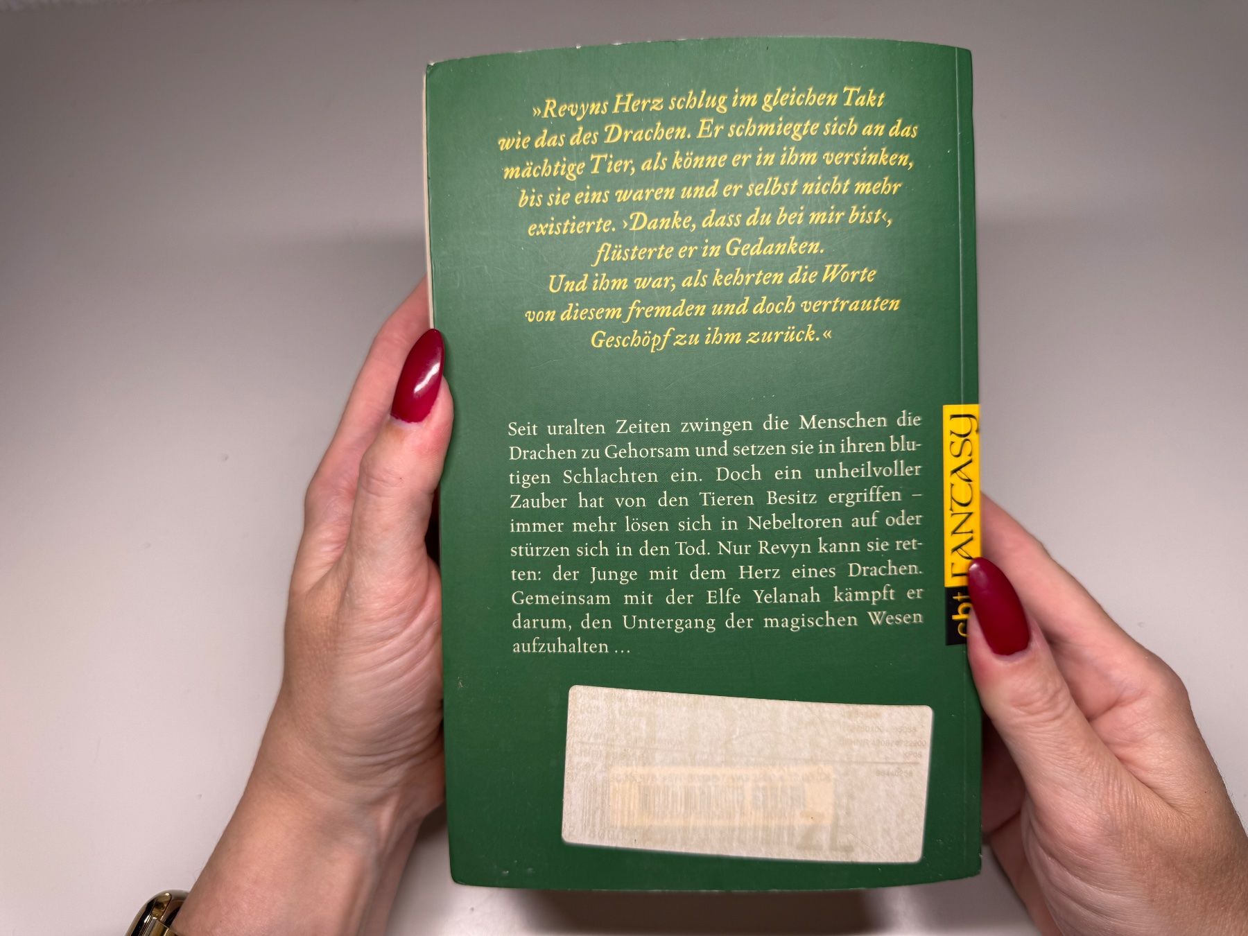 Libri: BUCH: Jenny - Mai Nuyen, Das Drachentor – Usato da Grosswangen venduto da Kleine.Knoepfe 9