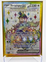 Scarlet & Violet Promos - Terapagos ex  (SVP 165) - DE