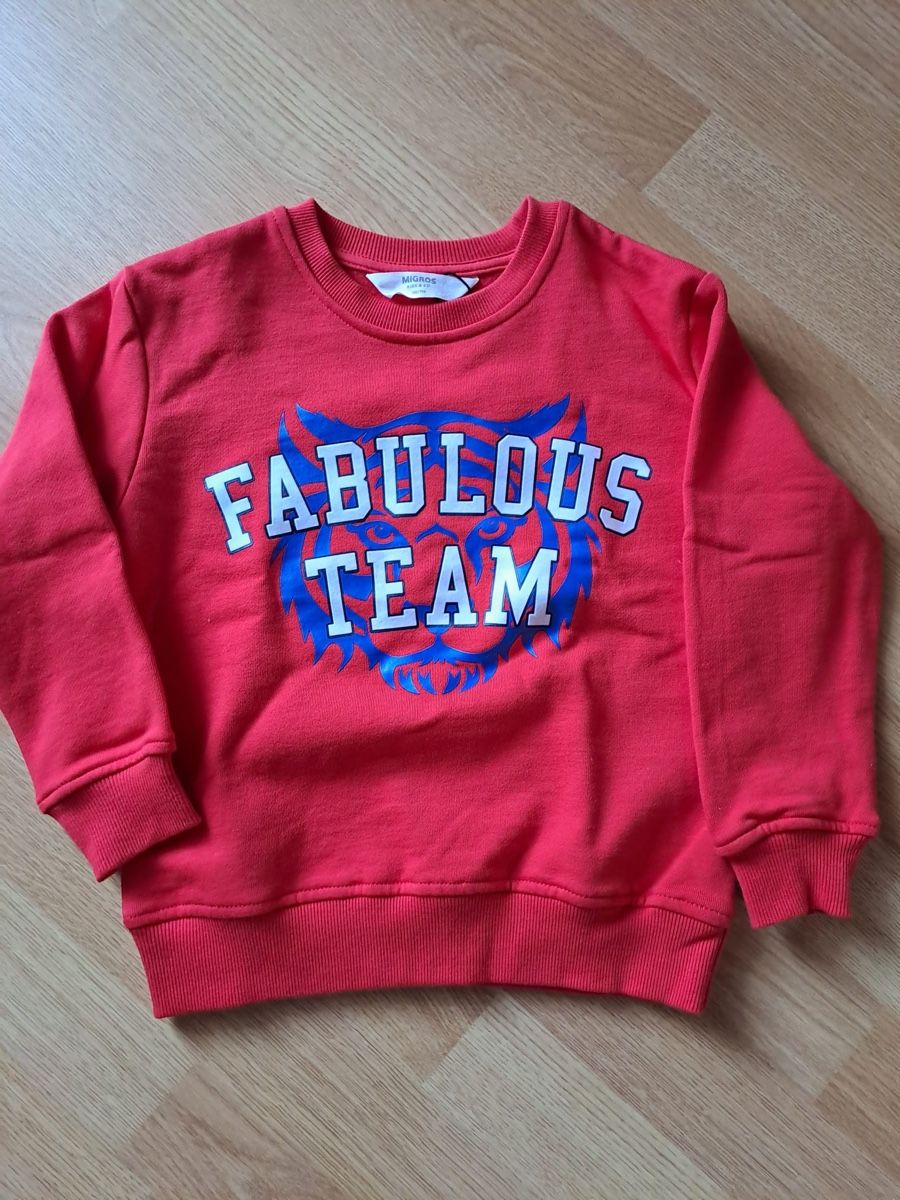 Pullover & Sweatshirts: Pullover – Neu und originalverpackt aus Bottenwil von Guguseli014