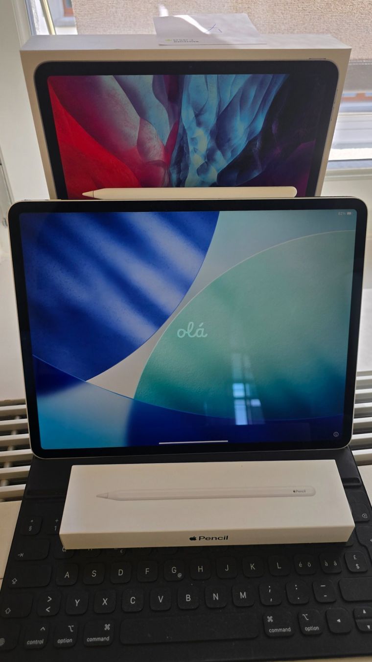 Apple Tablet PC: iPad Pro 12.9 " / Zoll, 4. Generation (7) – Usato da Winterthur venduto da GreenSkyline