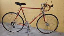Raritäten Wolf rennvelo 