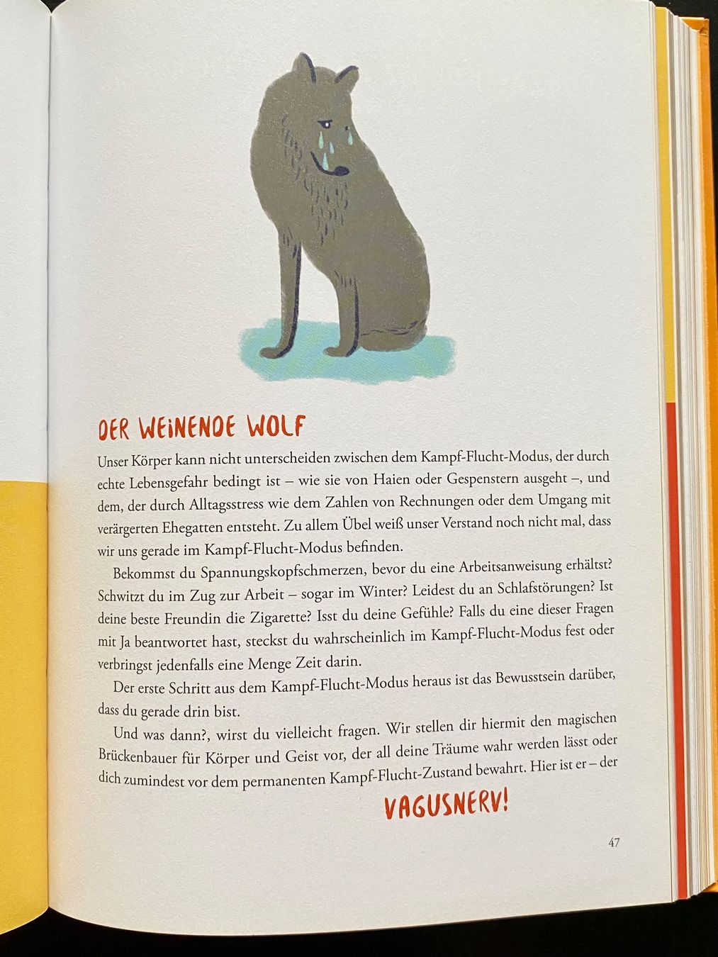 Bücher: HINSETZEN, LOSLASSEN, GLÜCKLICH SEIN – Gebraucht aus Nussbaumen AG von schuba2000 4