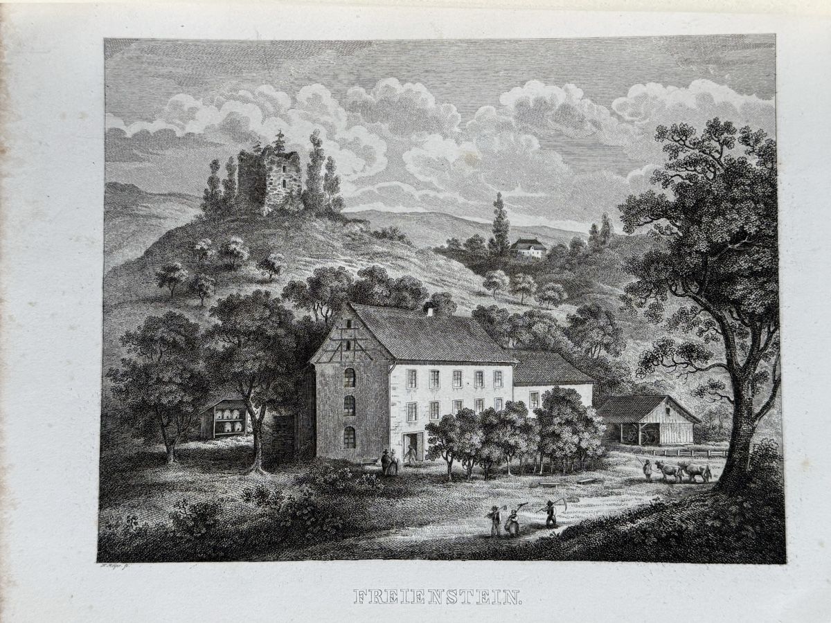 Bücher: Stich von Freienstein 1864. Hülfsgesellschaft – Gebraucht aus Adliswil von buch_und_kunst
