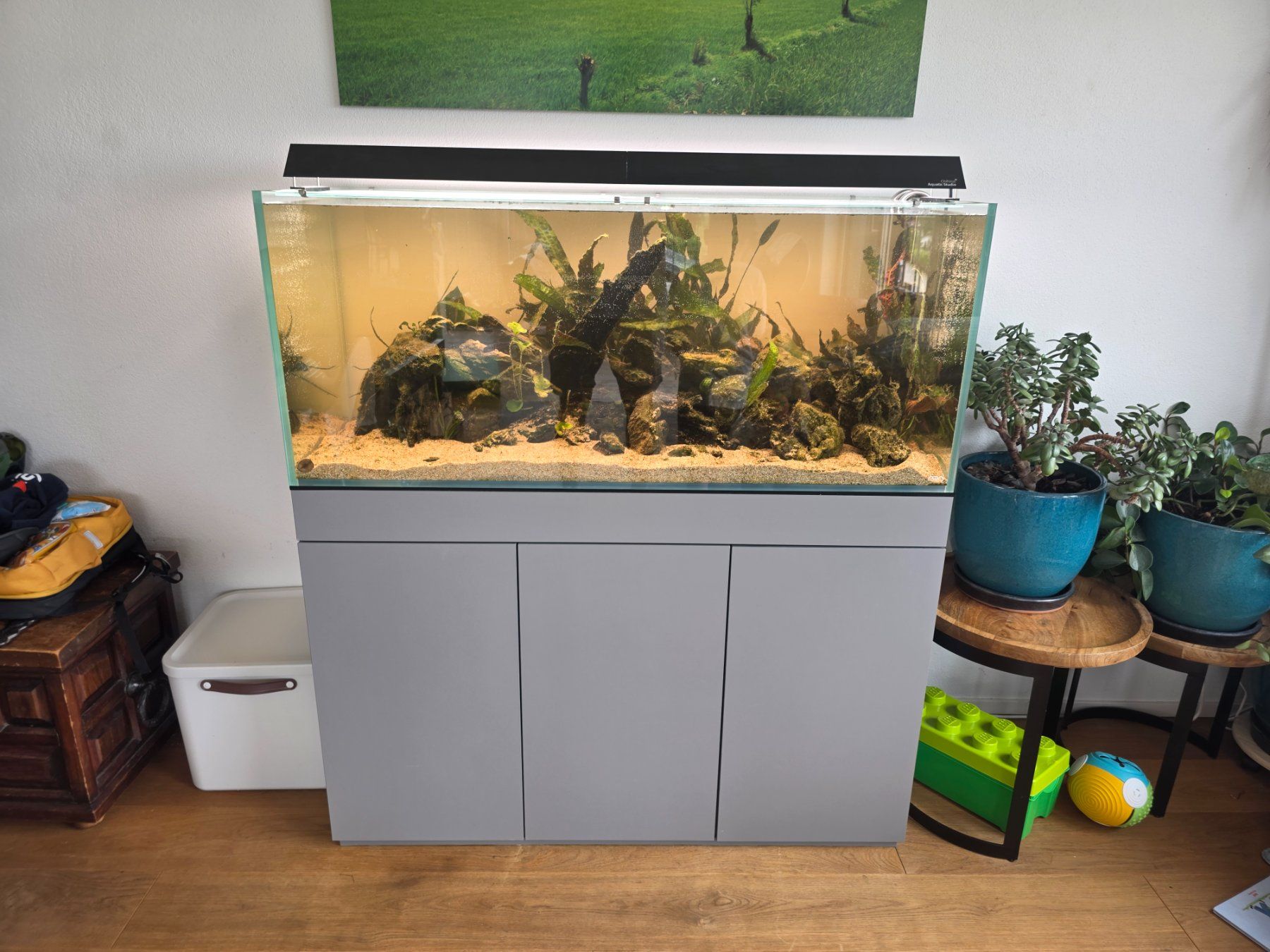 Aqua Design Amano Acquari: ADA Aquarium Komplettset – Usato da Richterswil venduto da deris117