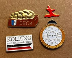 Verschiede Pin Stadt Luzern