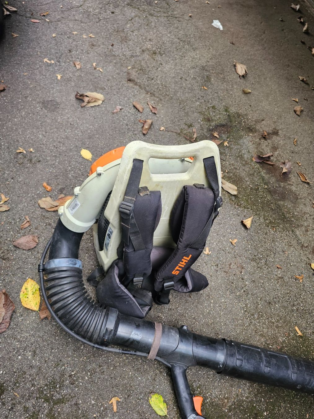 Stihl Soffiatori & Aspiratori per foglie: Laubbläser Stihl BR 600 – Usato da Oberburg venduto da herkules69 3