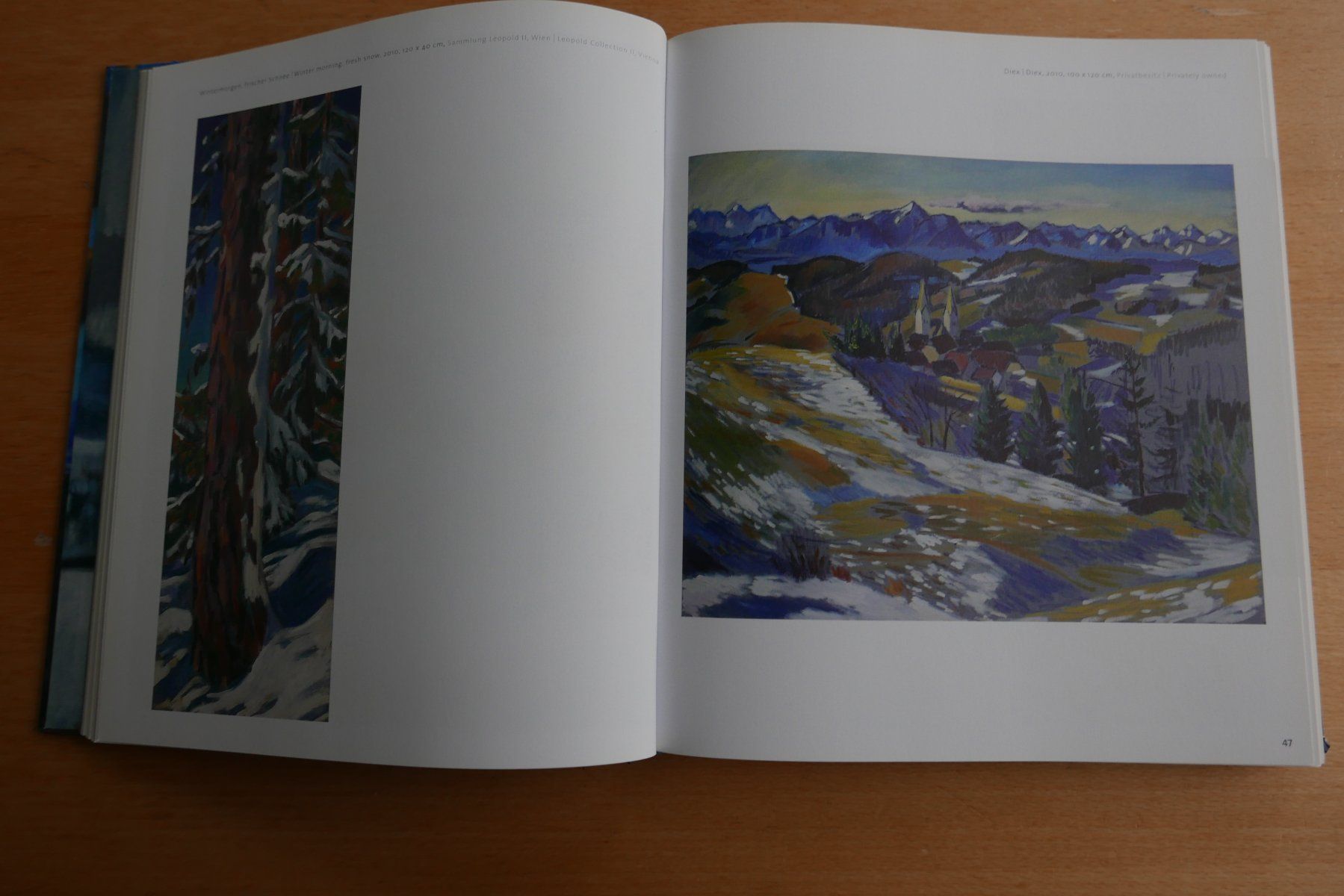 Bücher: Kunstbuch Harald Scheicher Malerei 2010-2014 – Gebraucht aus Rotkreuz von nigal 2