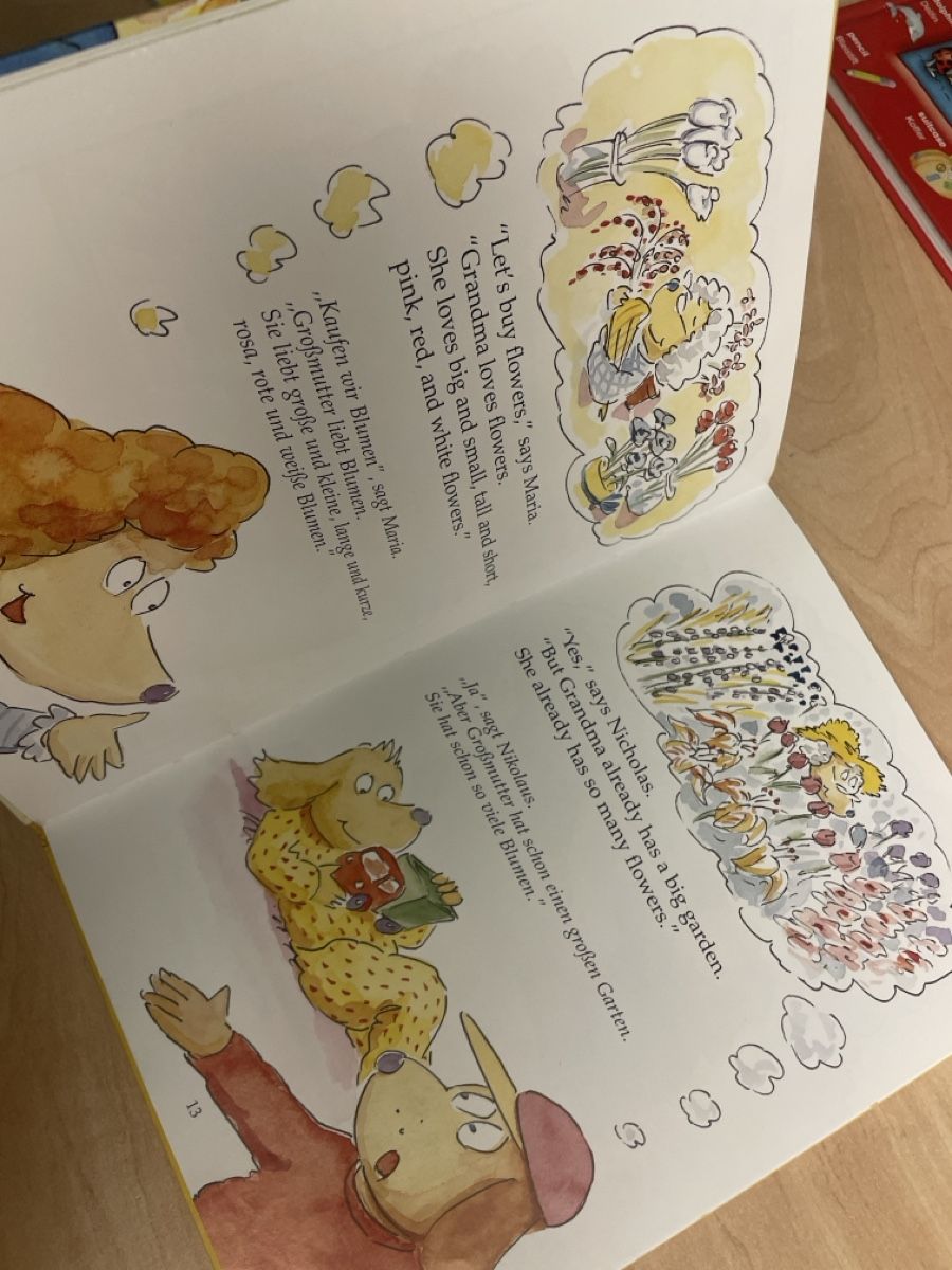 Libri: Lernbuch Englisch mit Nic - Die grosse Geburtstagsfeier – Usato da Obergerlafingen venduto da cabo4 2