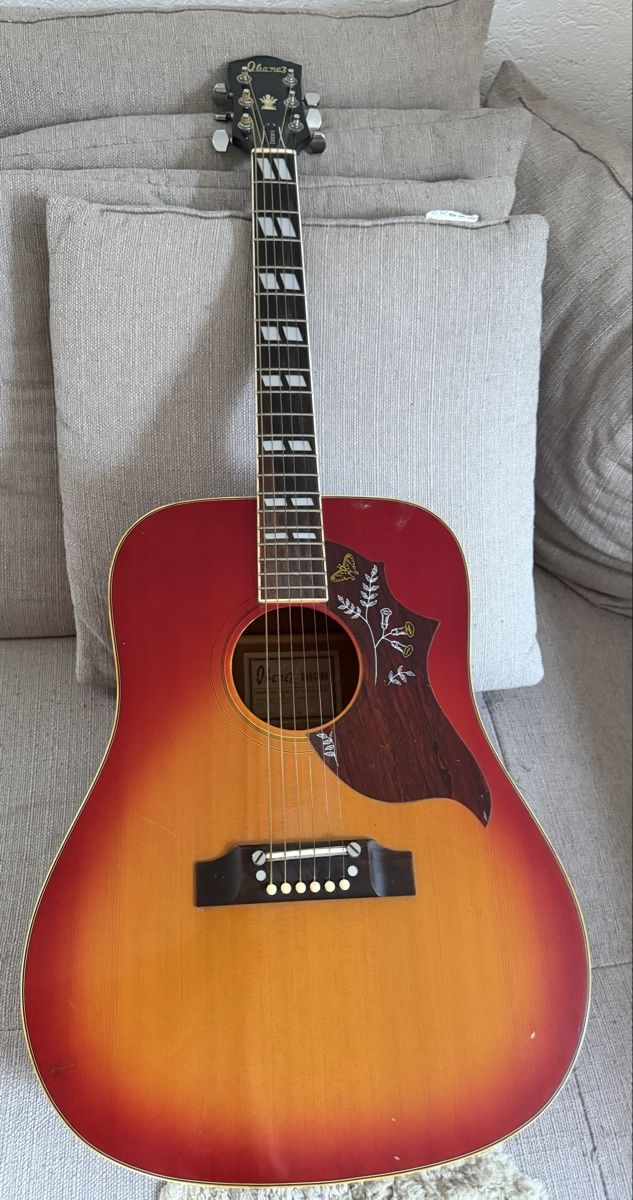 Ibanez Strumenti musicali: Ibanez Concord gekauft 1979 – Usato da Domat/Ems venduto da TETSUDO